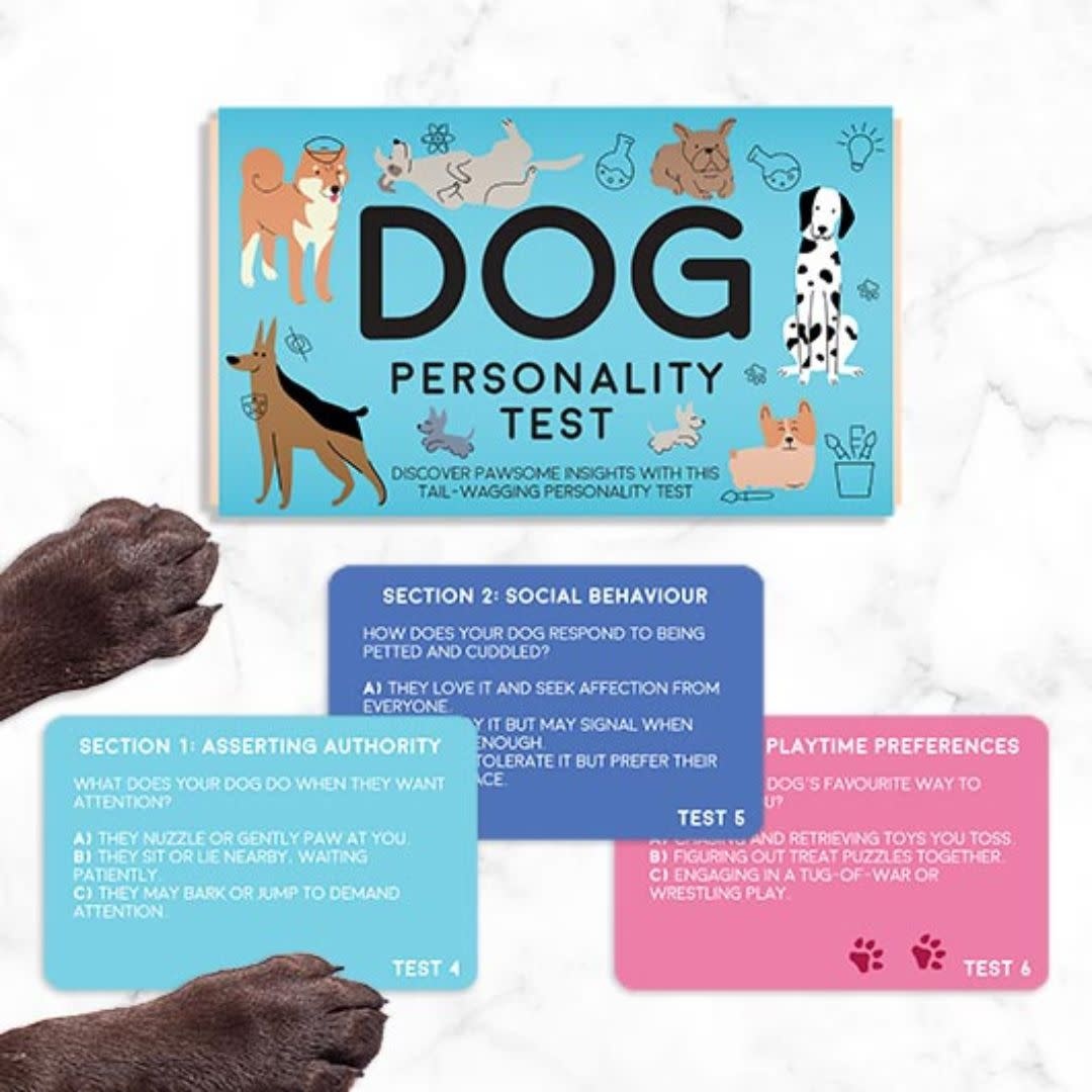 Dog Personality Types Understanding Your Dog's Personality Type