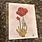 June Everette Poppy Card