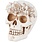 One Coast Floral Skull Figurine