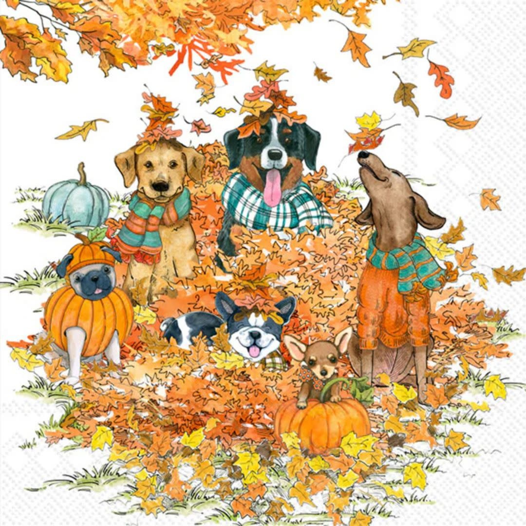 Boston International Cocktail Napkins Autumn Dogs
