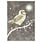 Peter Pauper Starry Night Owl Small Boxed Holiday Cards