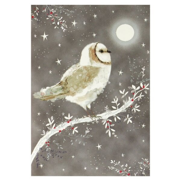Peter Pauper Starry Night Owl Small Boxed Holiday Cards