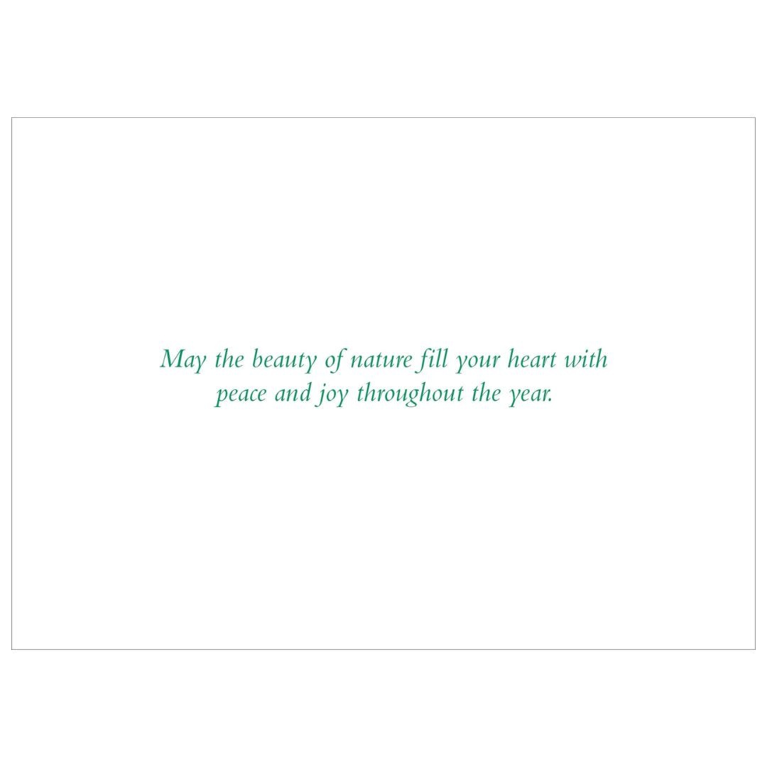 Peter Pauper Moonlit Forest Friends Deluxe Boxed Holiday Cards