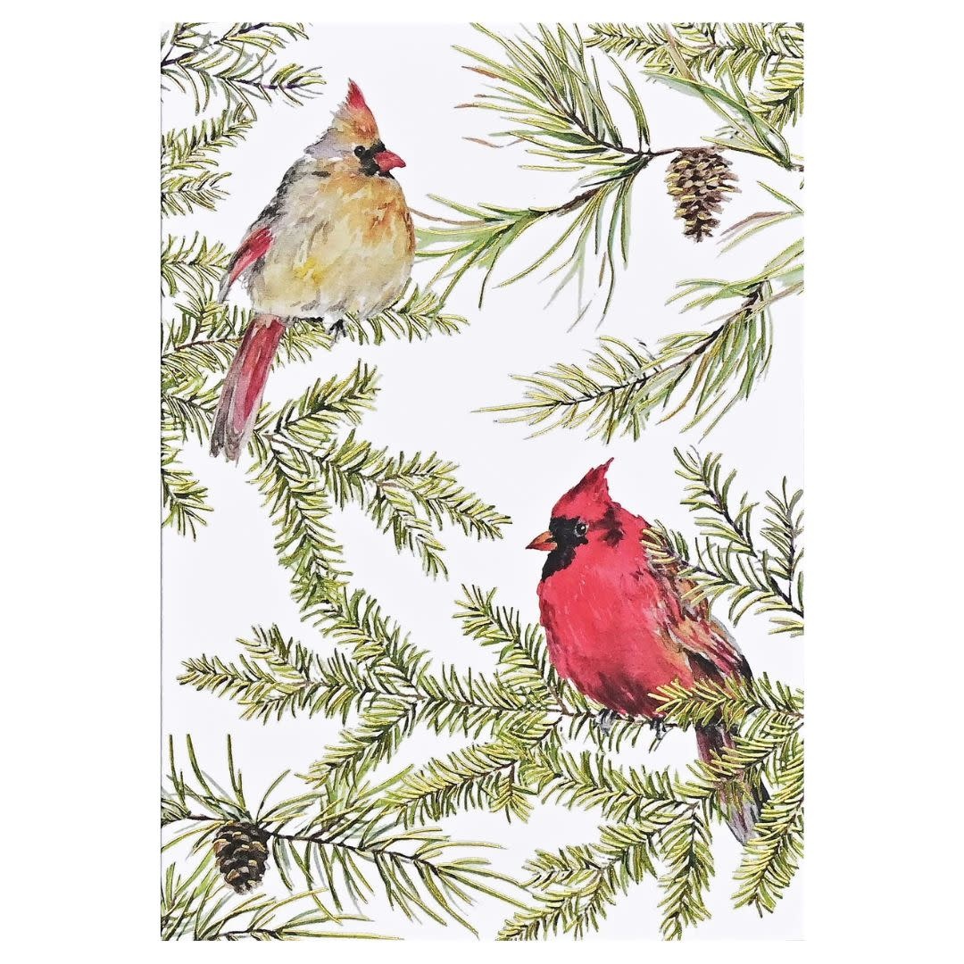 Peter Pauper Cardinals In Evergreen Small Boxed Holiday Cards
