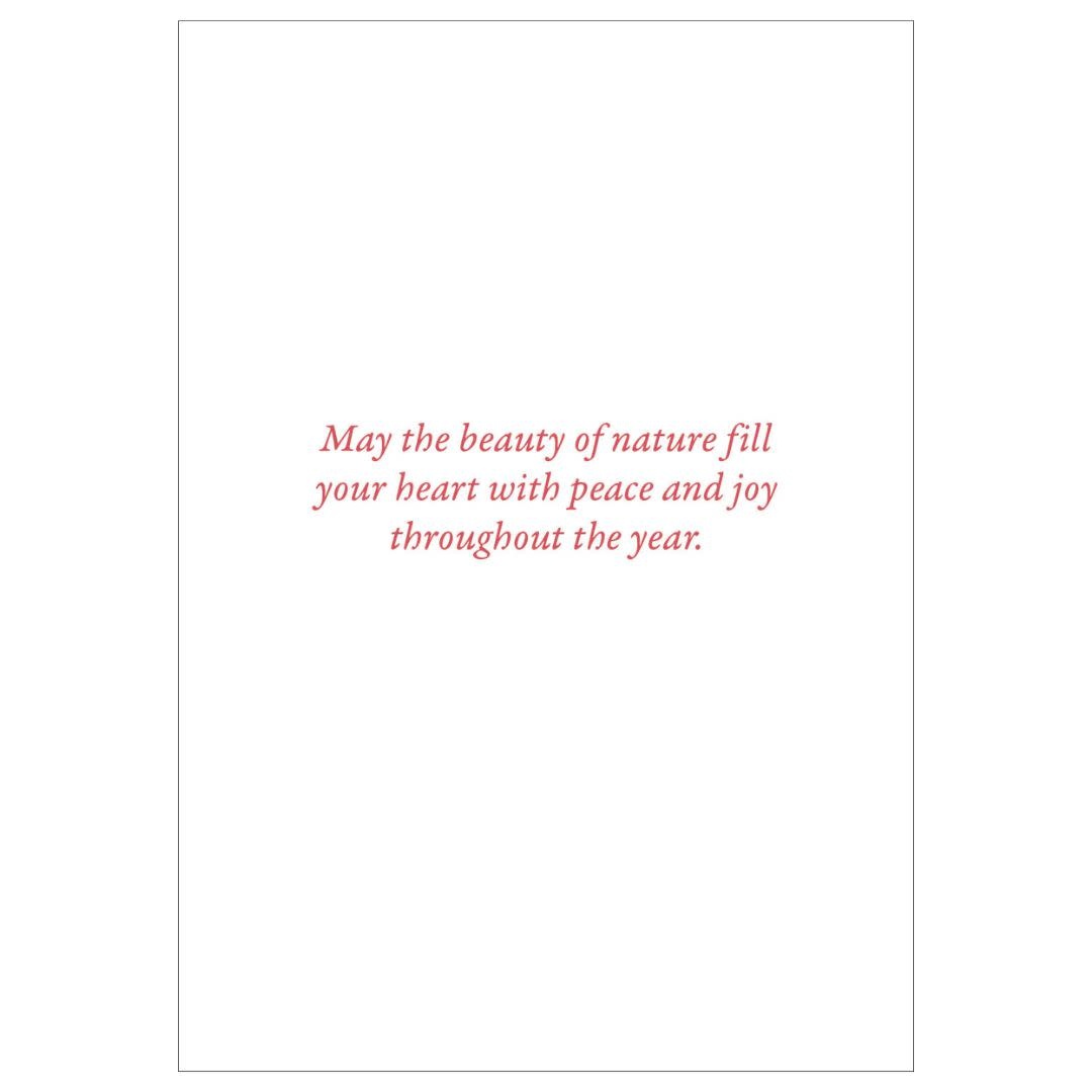 Peter Pauper Cardinals In Evergreen Small Boxed Holiday Cards