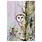 Peter Pauper Woodland Owl Small Boxed Holiday Cards