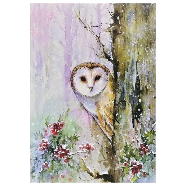 Peter Pauper Woodland Owl Small Boxed Holiday Cards