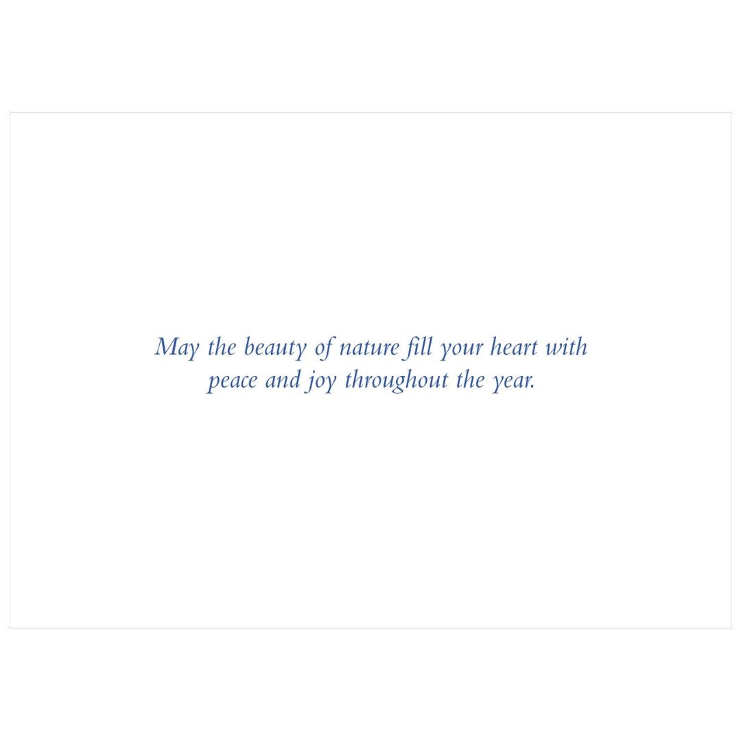 Peter Pauper Winter Nightfall Deluxe Boxed Holiday Cards