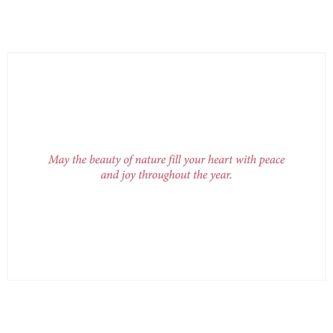 Peter Pauper Winter Wonderland Deluxe Boxed Holiday Cards