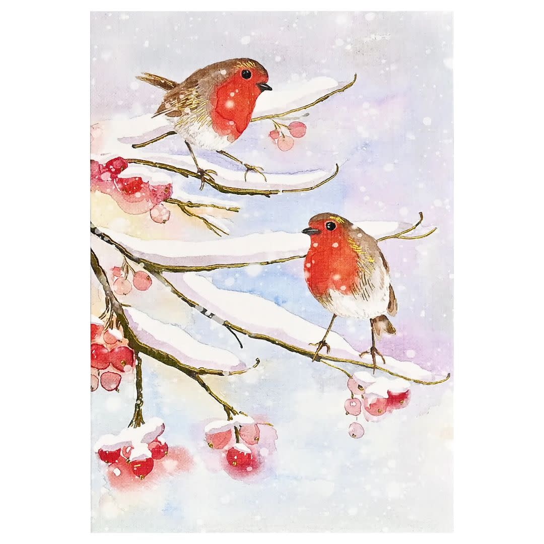Peter Pauper English Robins in Snow Small Boxed Holiday Cards