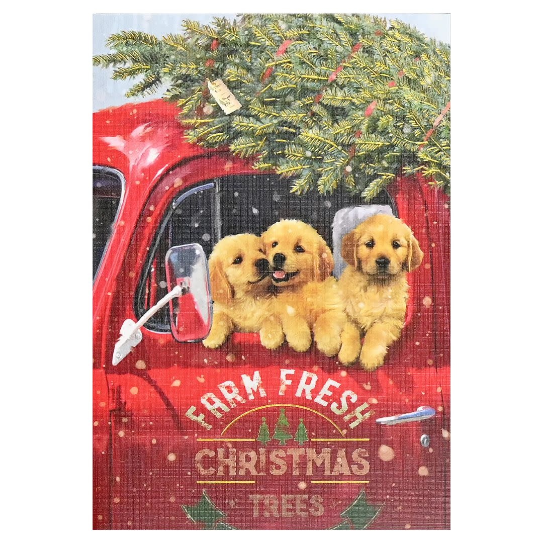 Peter Pauper Festive Pups Small Boxed Holiday Cards
