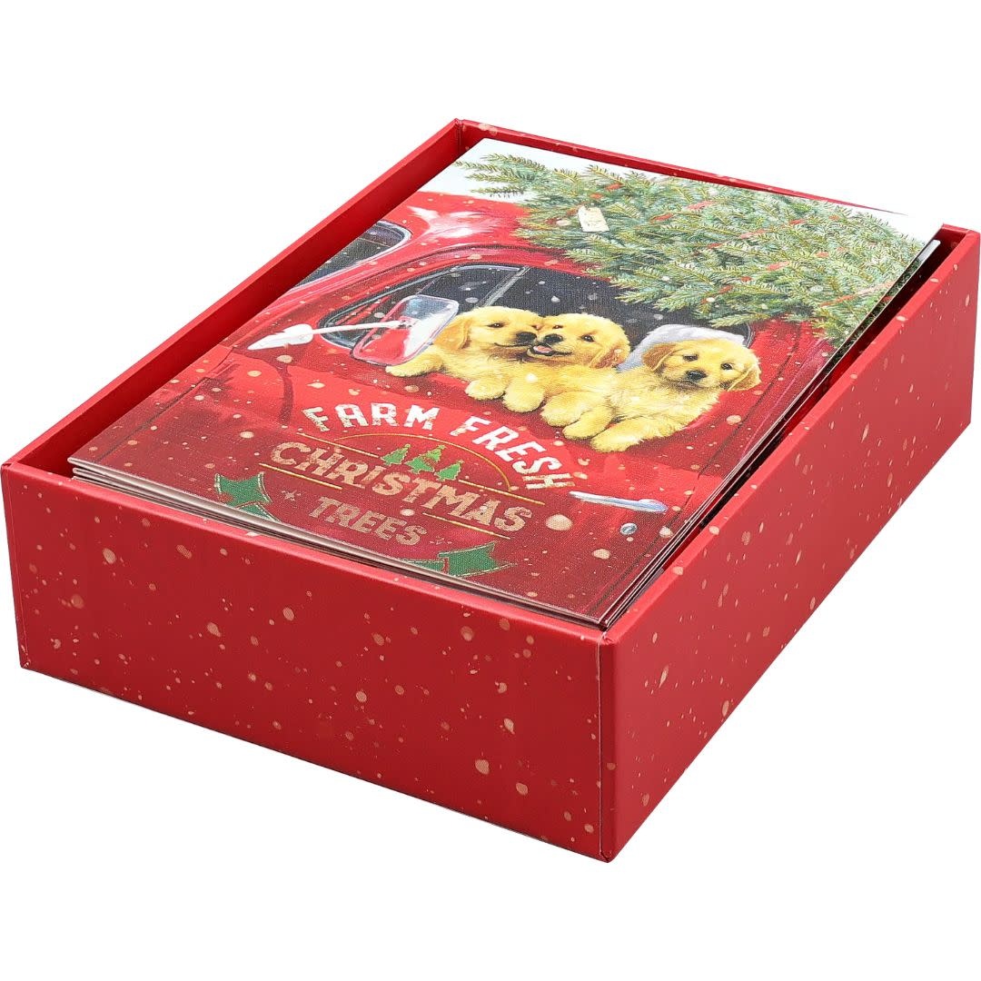 Peter Pauper Festive Pups Small Boxed Holiday Cards