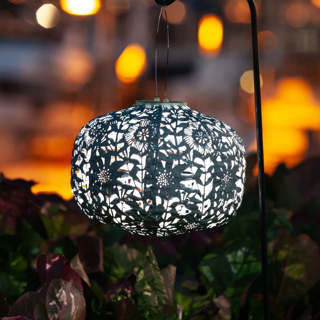 Allsop Soji Stella 11" Square Sunflower - Sage