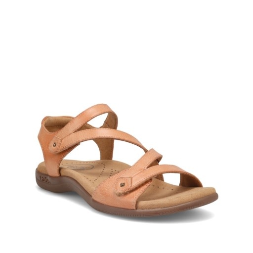 Taos Women's Big Time