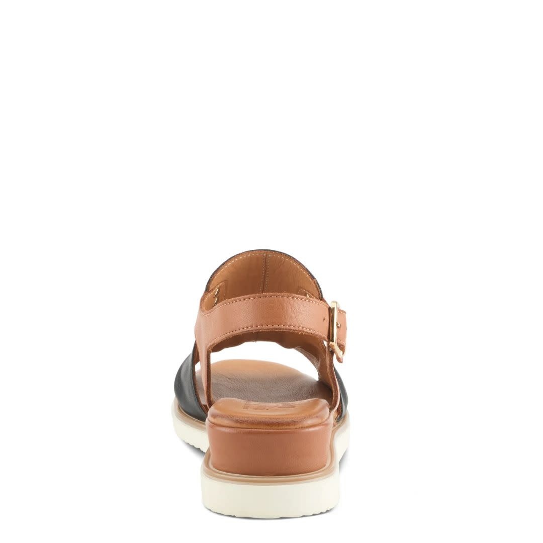 Spring Step Women's Locals