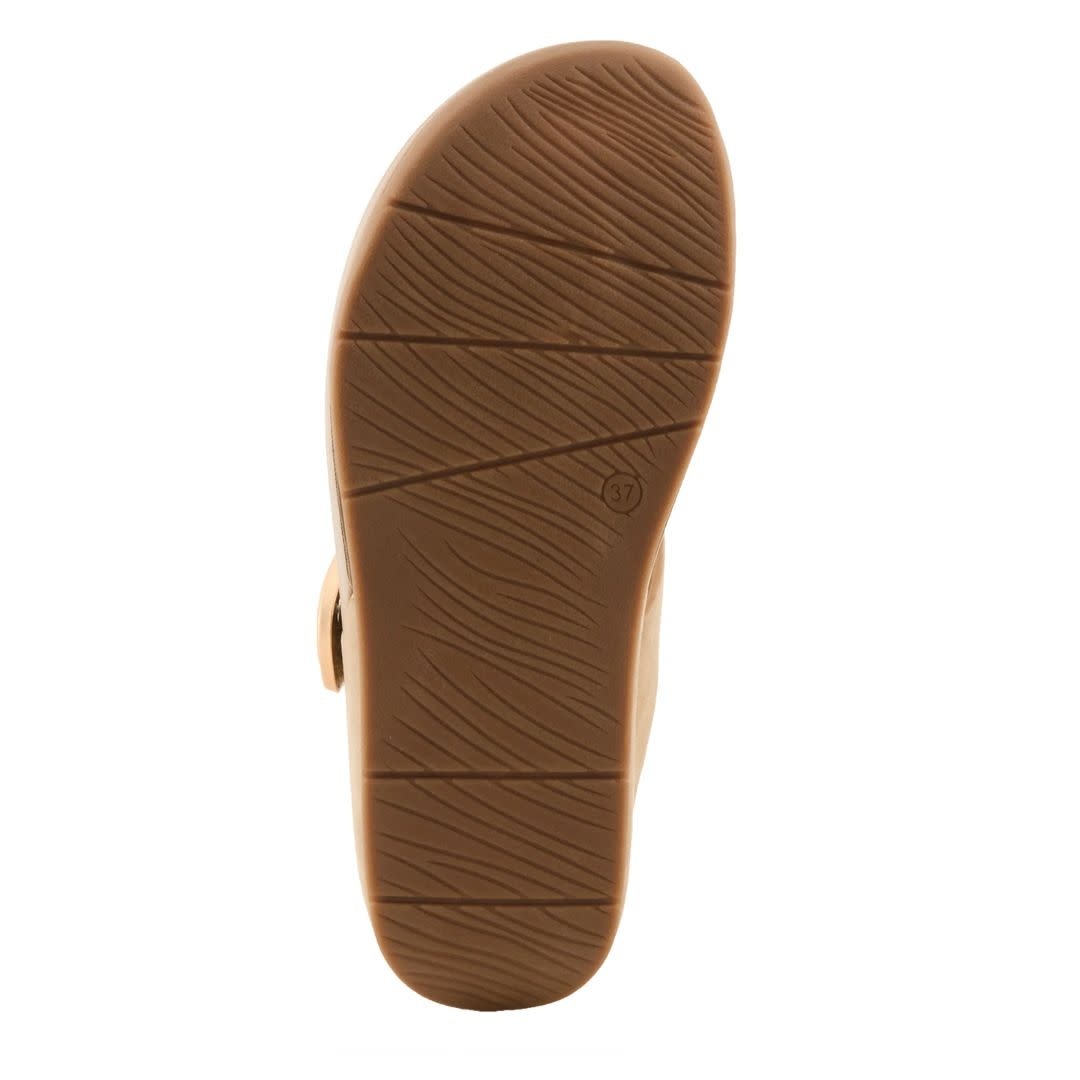 Patrizia Women's Oceanfront - Lux