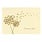 Peter Pauper Dandelion Wishes Thank You Notes