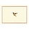 Peter Pauper Hummingbird Flight Note Cards