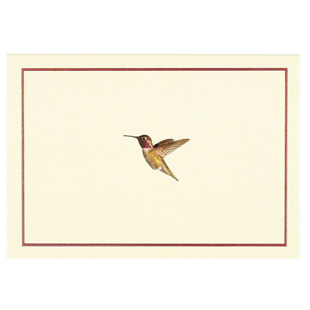 Peter Pauper Hummingbird Flight Note Cards
