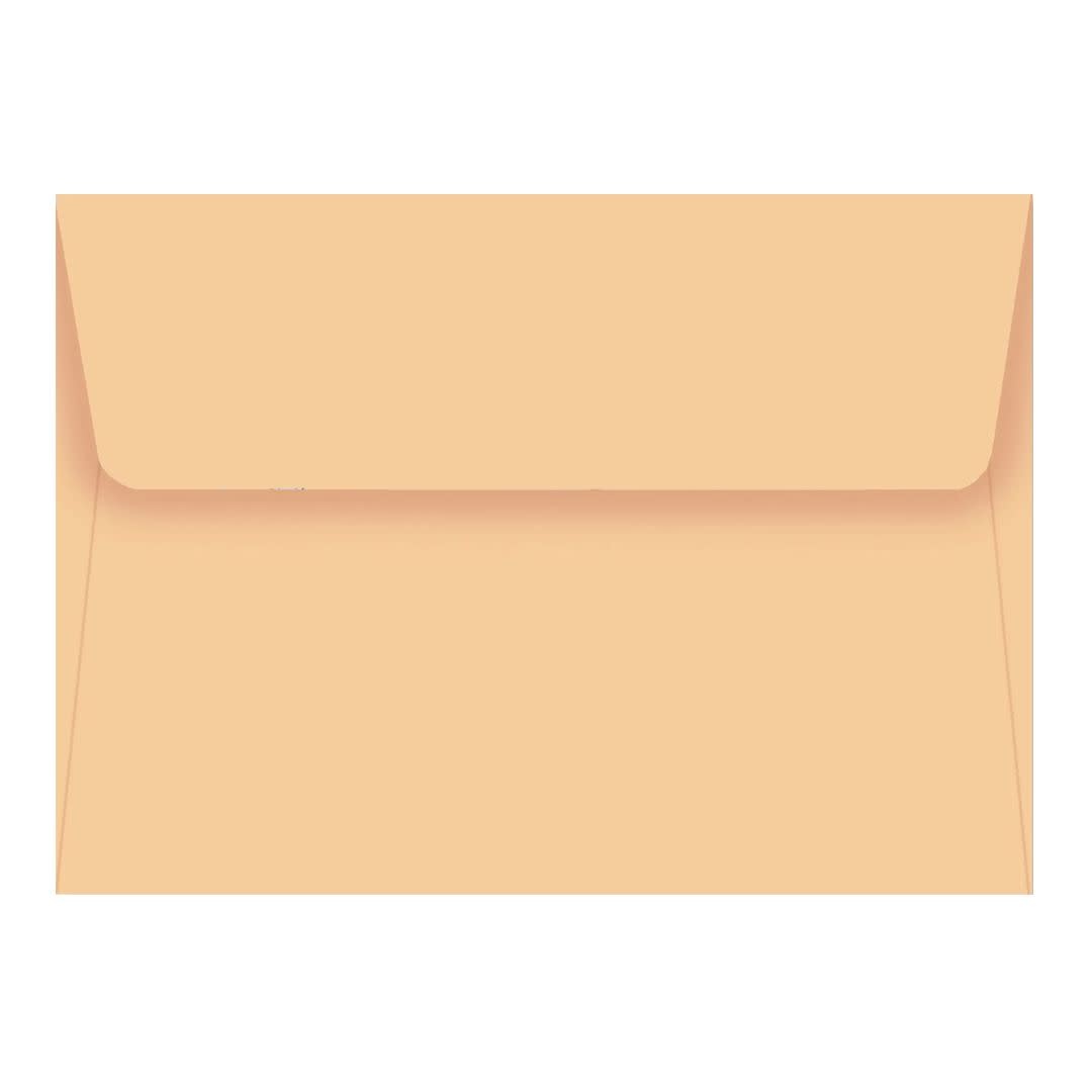 Peter Pauper Boxed Note Cards: Golden Aspens