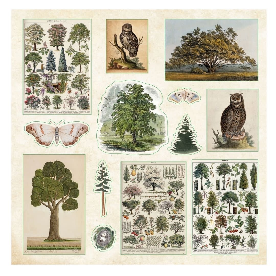 Peter Pauper Enchanted Forest Sticker Book