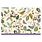 Peter Pauper Birds and Berries Note Cards