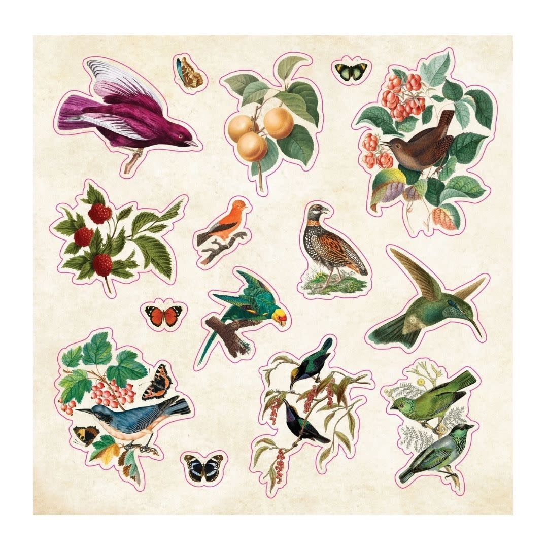 Peter Pauper The Sticker Book of Curiosities