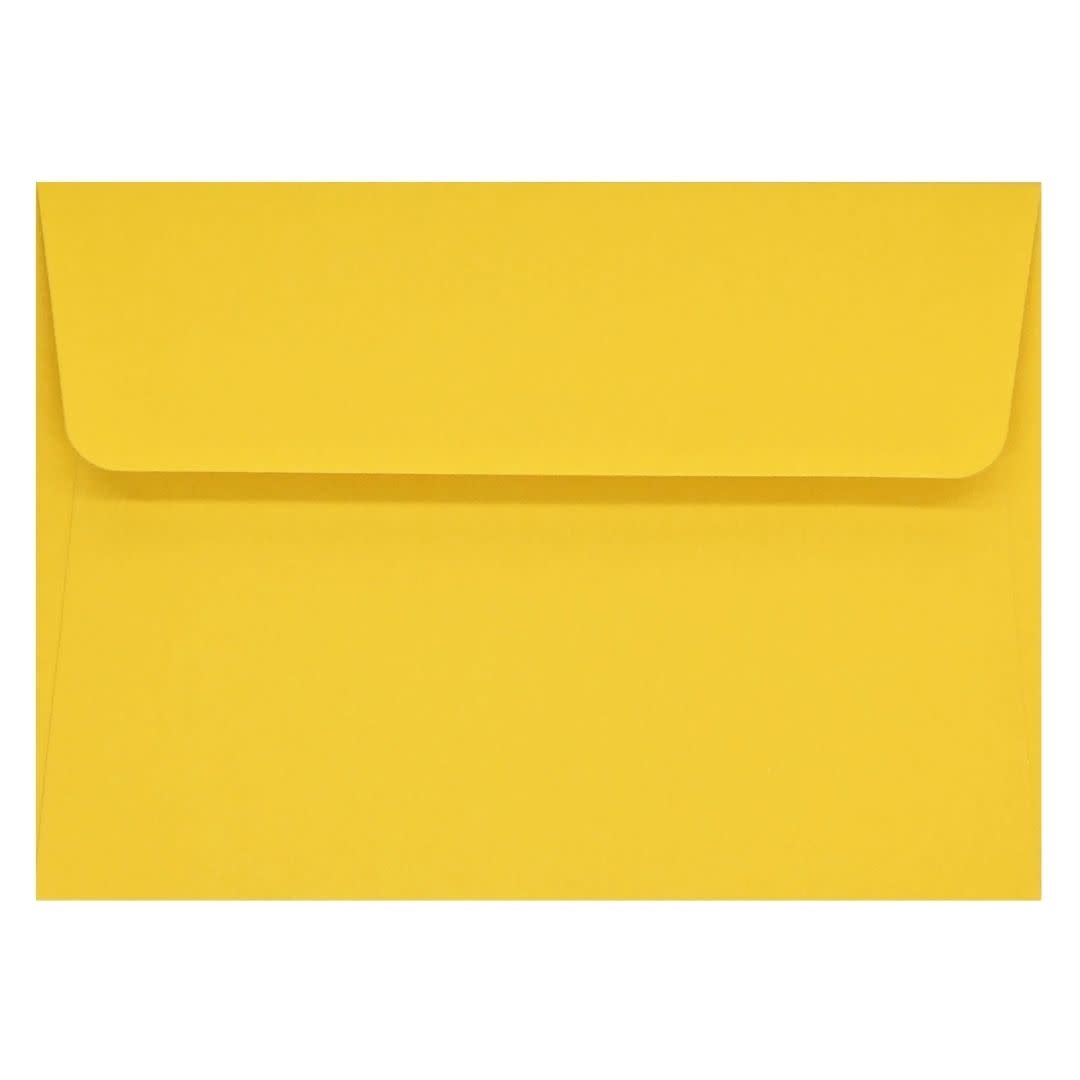 Peter Pauper Sunflower Dreams Note Cards