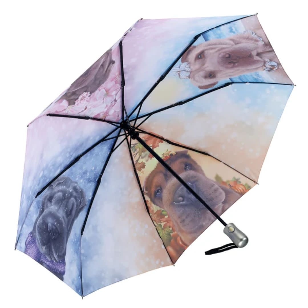 Galleria Folding Umbrella Shar Pei
