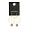Scout Curated Wears Refined Glass Drop Earrings - Smoke/Gold