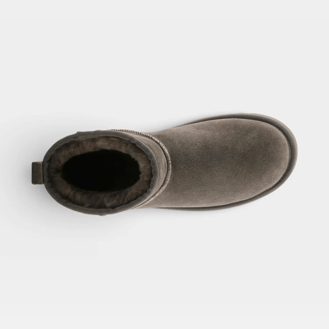 L'Artiste Women's Brandai