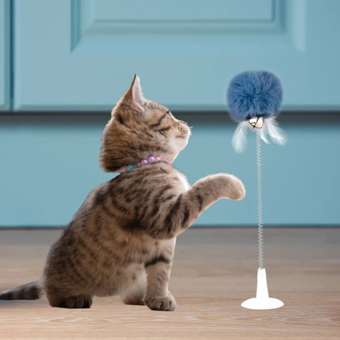 Kikkerland Kitty Spring Toy