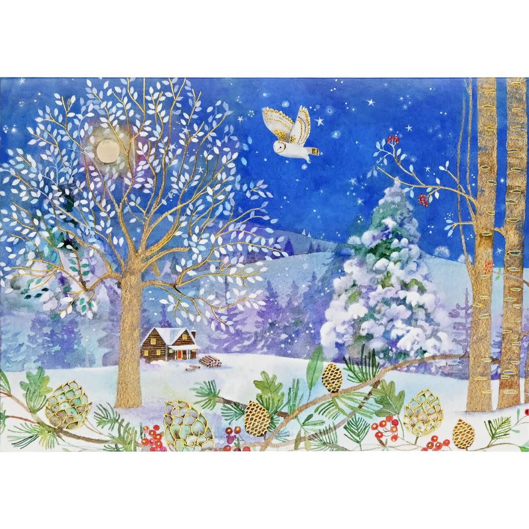 Peter Pauper Winter Starlight Deluxe Boxed  Holiday Cards