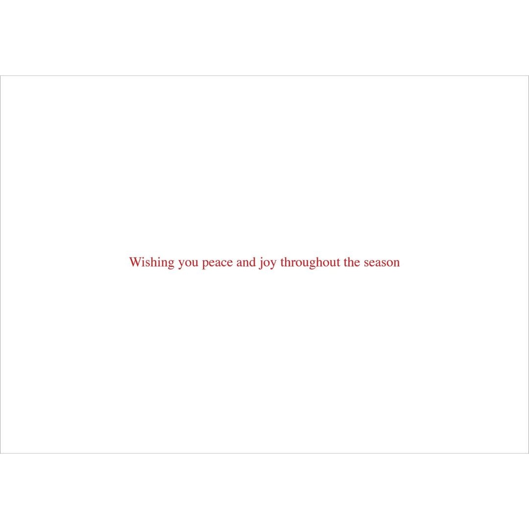 Peter Pauper Festive Dove Deluxe Boxed Holiday Cards