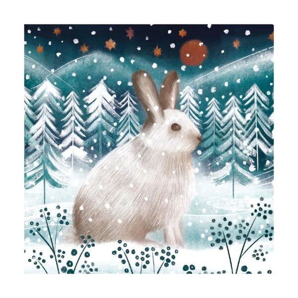 Museums & Galleries Christmas Artic Hare Pack Cards (8)