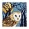Museums & Galleries Christmas Owl Full Moon Pack Cards (8)