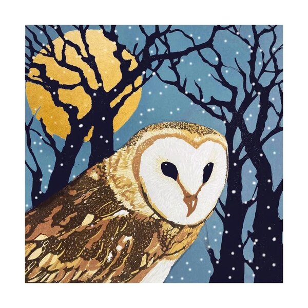 Museums & Galleries Christmas Owl Full Moon Pack Cards (8)