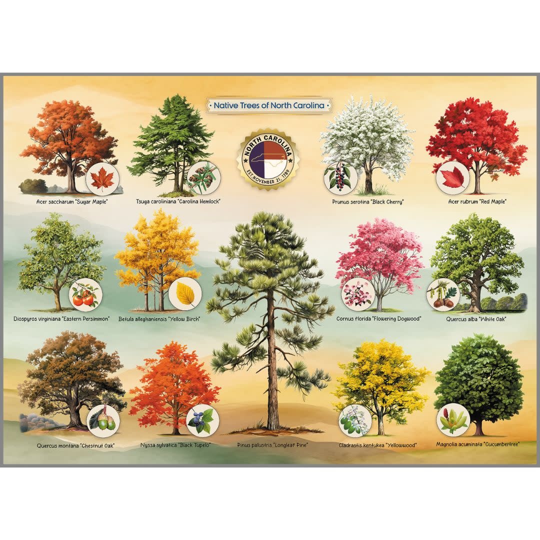 Highland Creek Puzzles Puzzle Trees of NC 1000 Piece