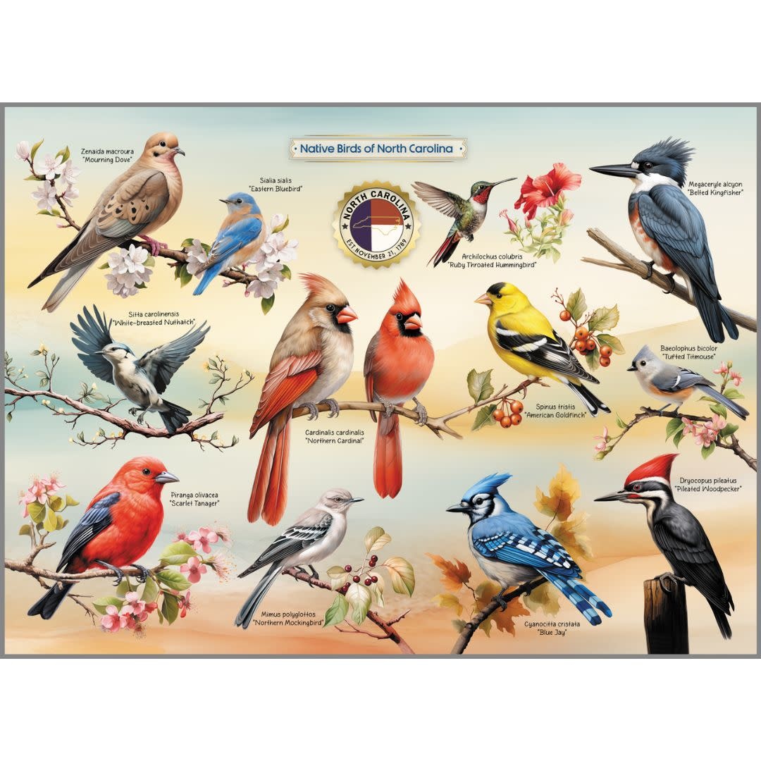Highland Creek Puzzles Puzzle Birds of NC 1000 Piece
