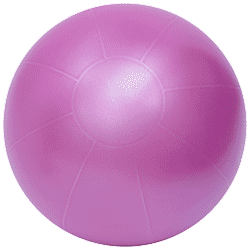 Theragear 55cm Pro ABS Stability Ball