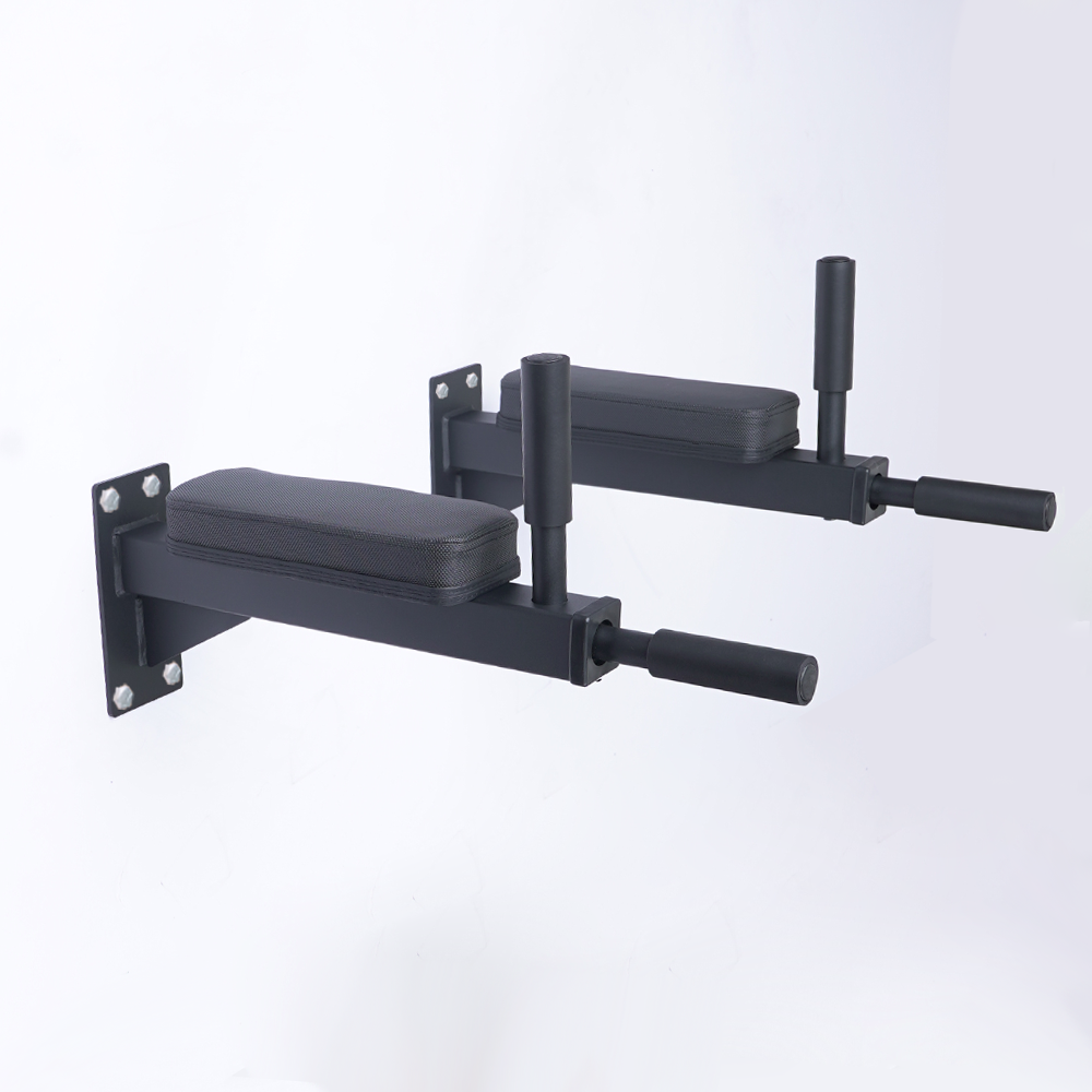 Ironax Wall Mounted Dip Station