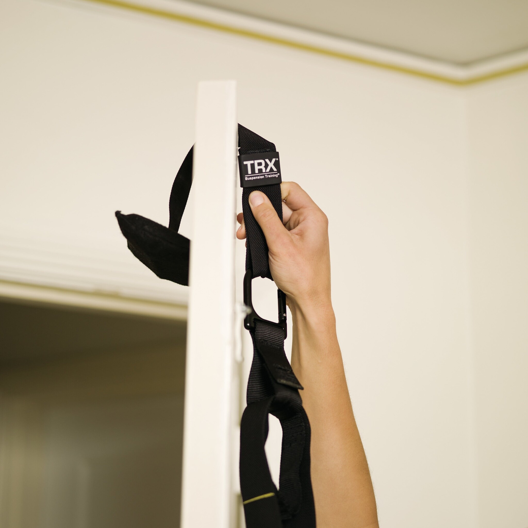 TRX Door Anchor