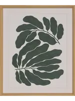 Shadow Catchers Frond Dance — Curl - 23x29