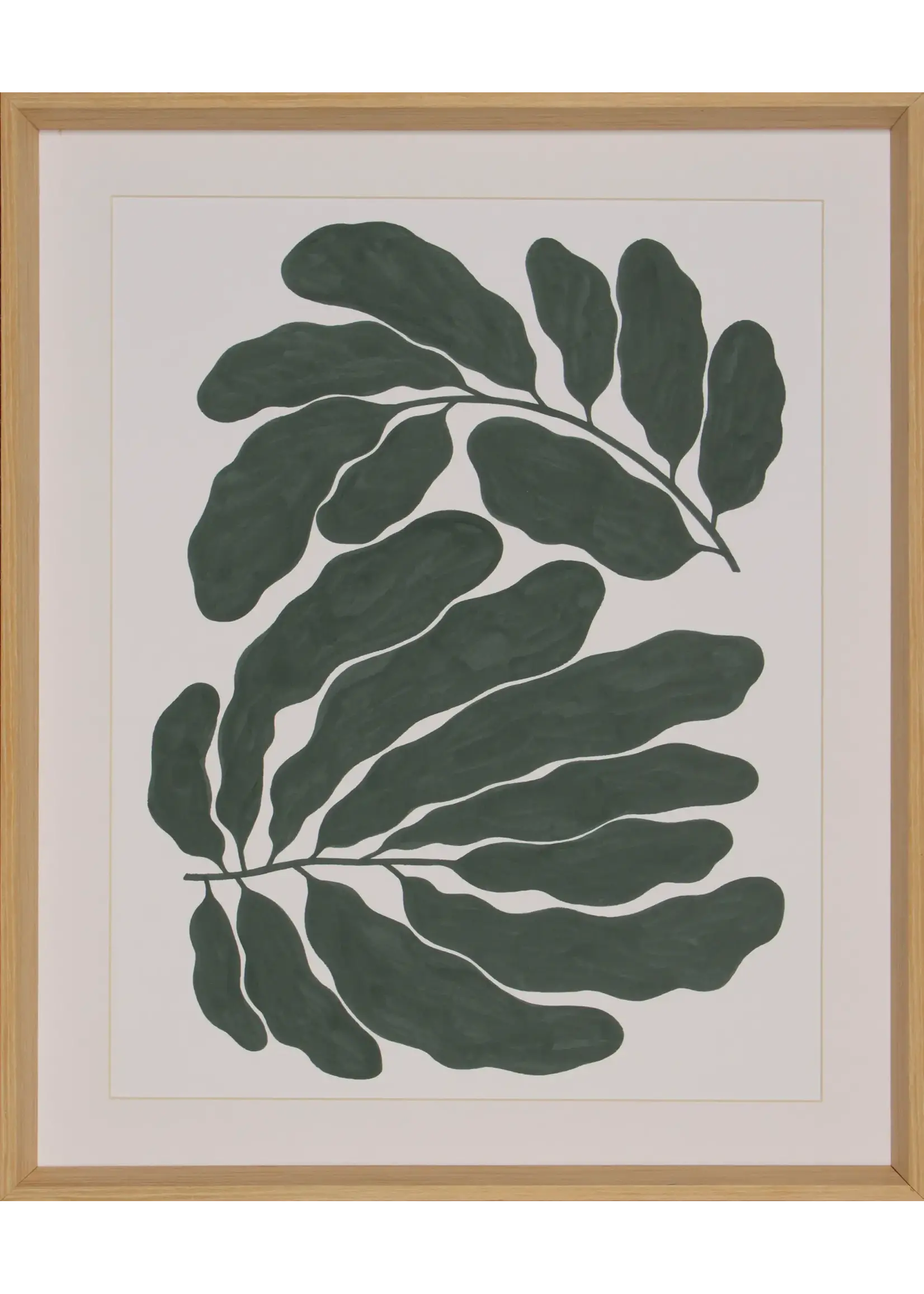 Shadow Catchers Frond Dance — Curl - 23x29