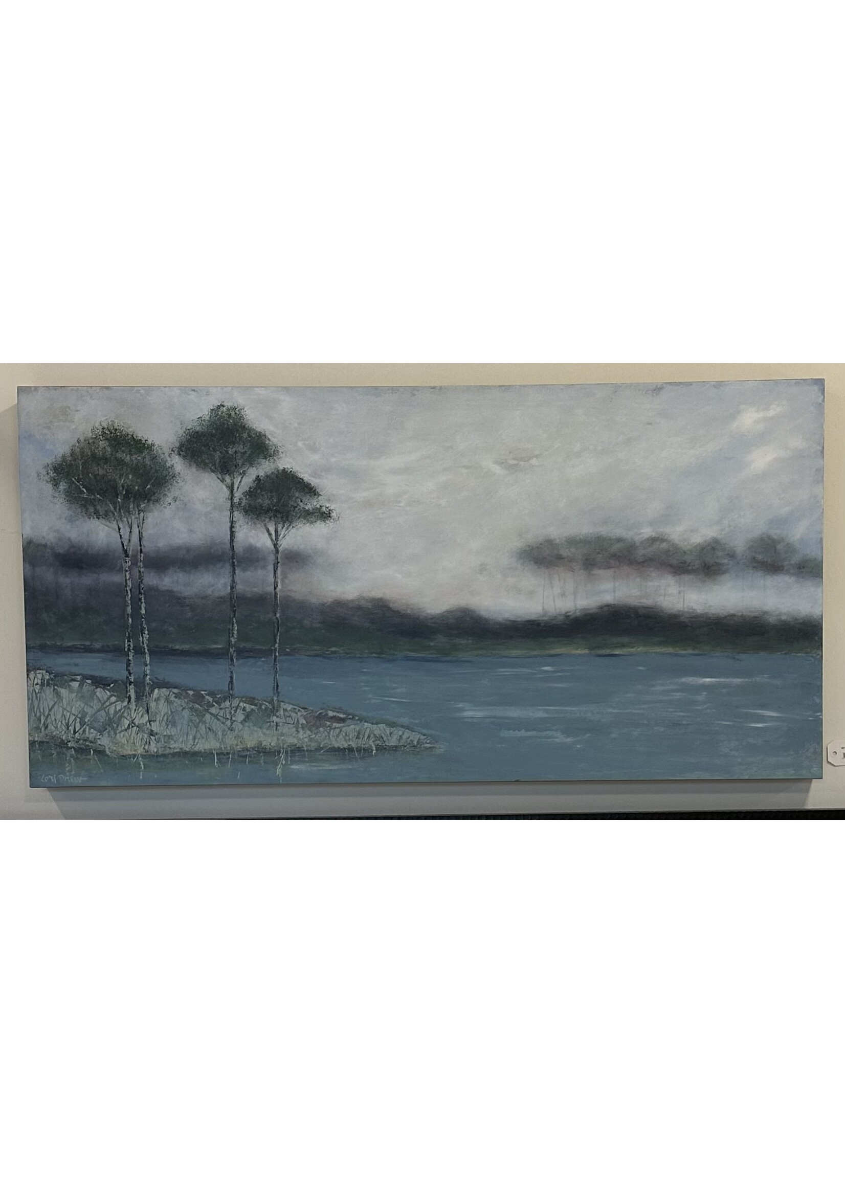 Lori Drew Best Western 48x24