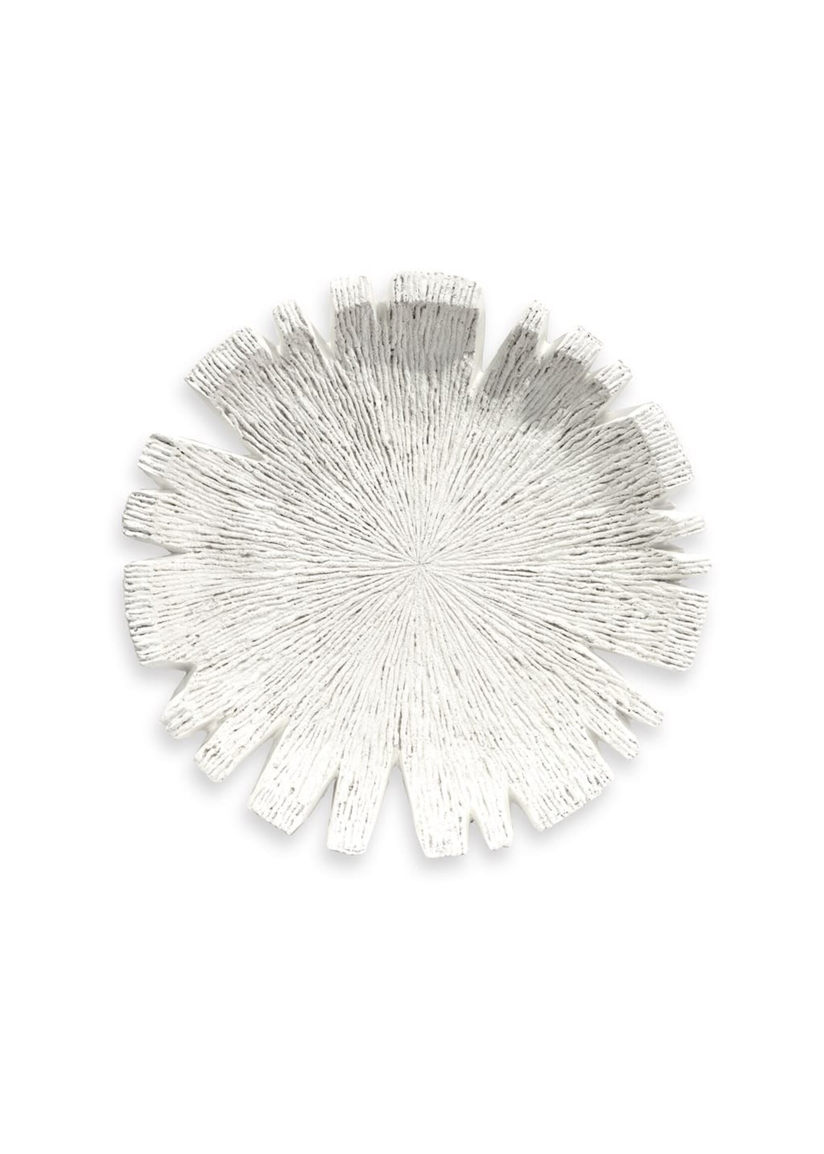 Palecek Reef OD Wall Decor - LG - White