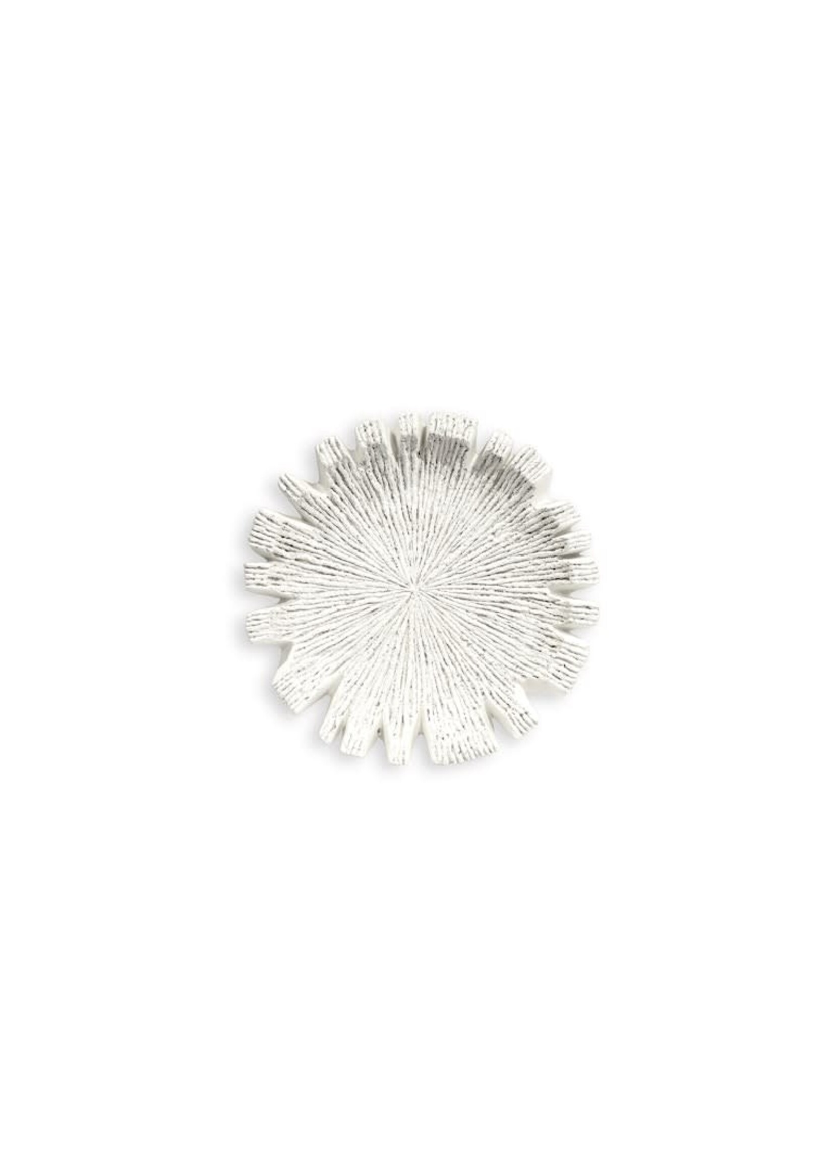 Palecek Reef OD Wall Decor - SM - White