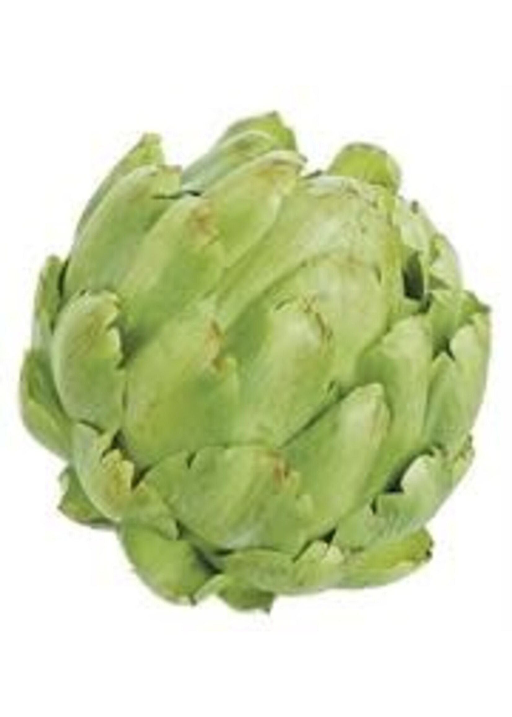 Select Artificials ARTICHOKE, 5.5"; GREEN