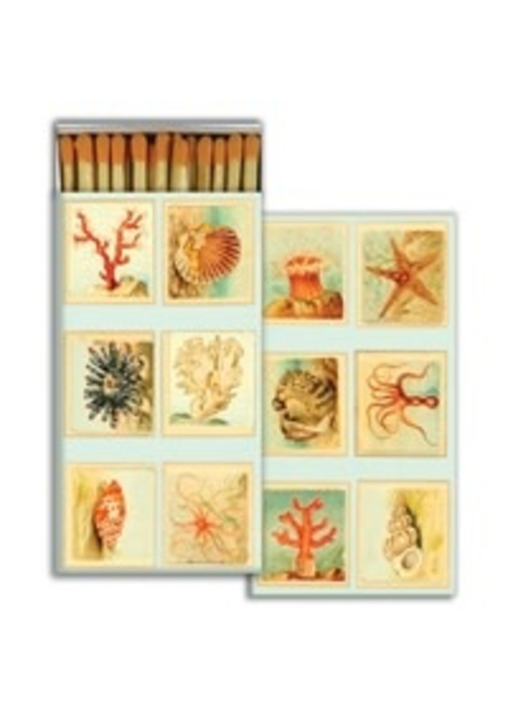 Homart Matches - Mollusks, Coral, Seastars
