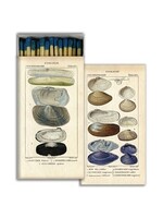 Homart Matches - Seashell Specimens
